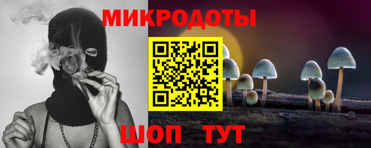 Псилоцибиновые грибы Psilocybine cubensis  Галлюциногенные грибы MAGIC MUSHROOMS  Менделеевск  Вход с VPN 